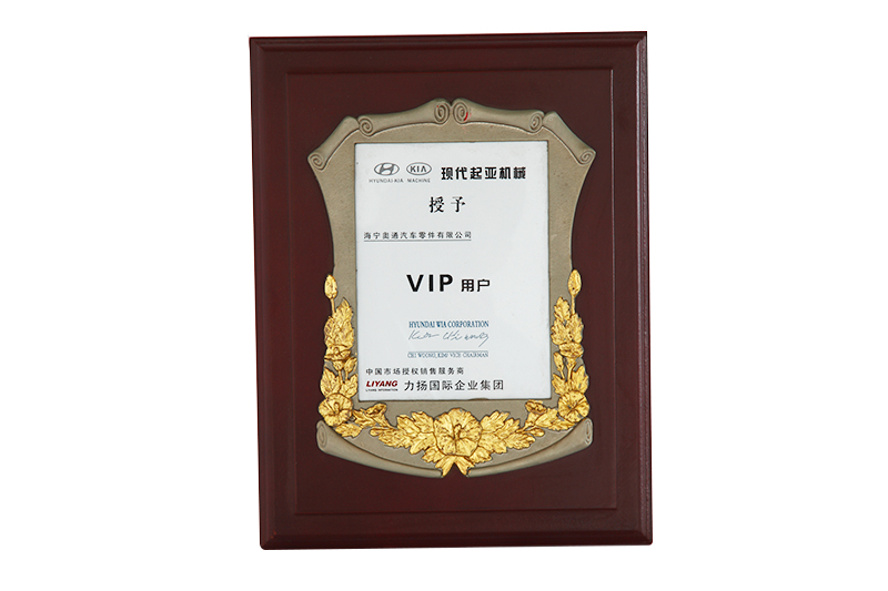 现代起亚机（jī）械授予兹VIP用户