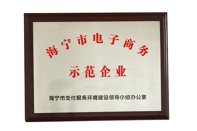 海宁市电子商务示范企业